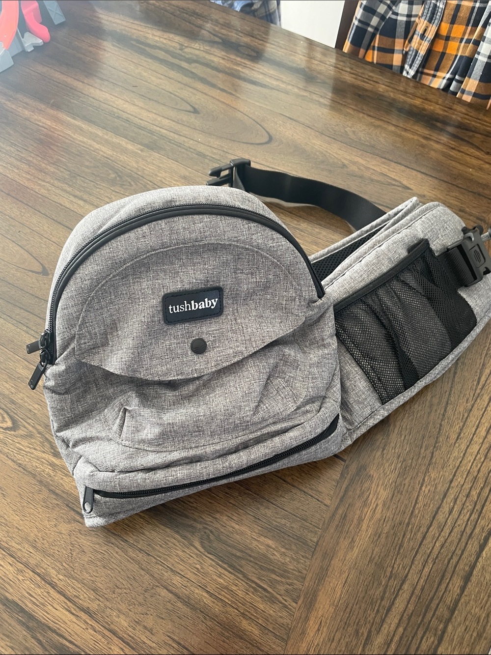 Tushbaby hip carrier